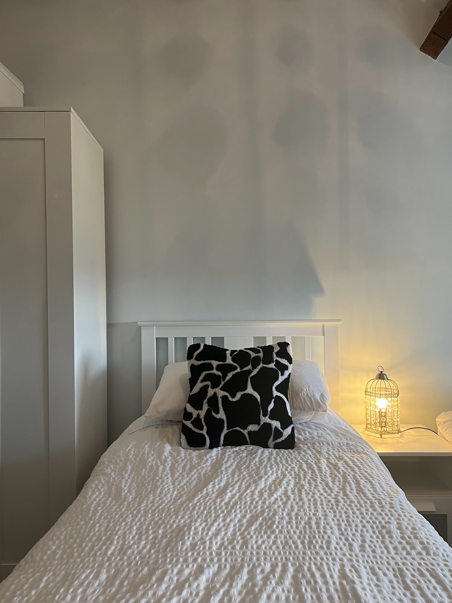 Concrete Texture Cushion